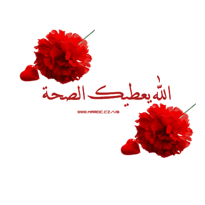 38753alsh3er.gif