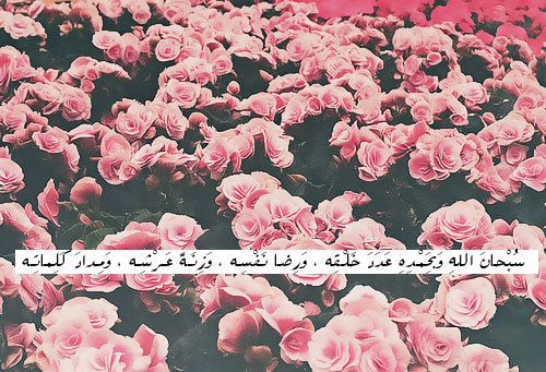 tumblr_m2ruokIJ1z1r07899o1_500.jpg