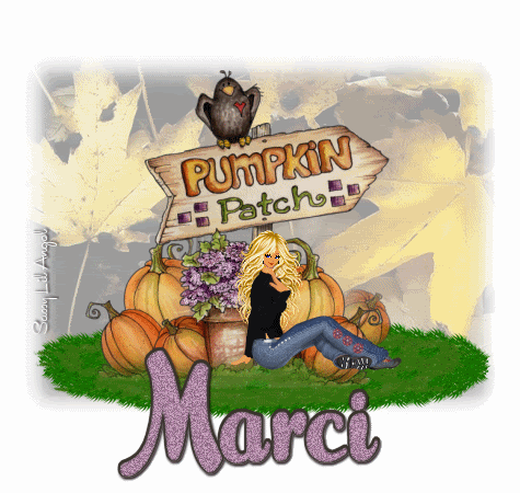 pumpkinpatch-sas06-marci.gif