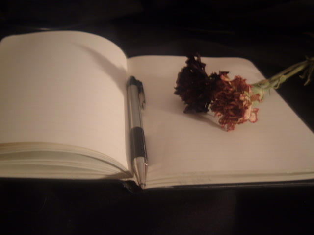 Dear_Diary__by_finalxmeaning.jpg