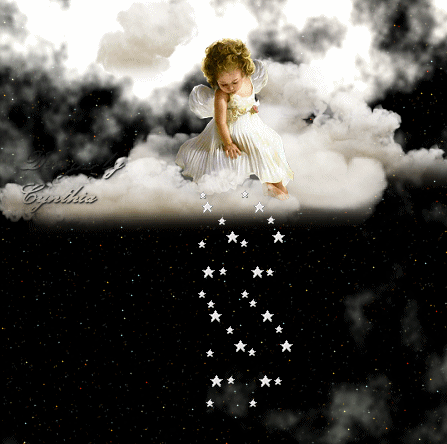 43332592_9455aef66527.gif