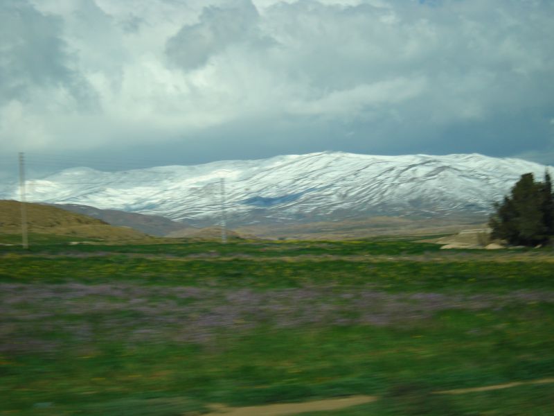 dsc00792.jpg