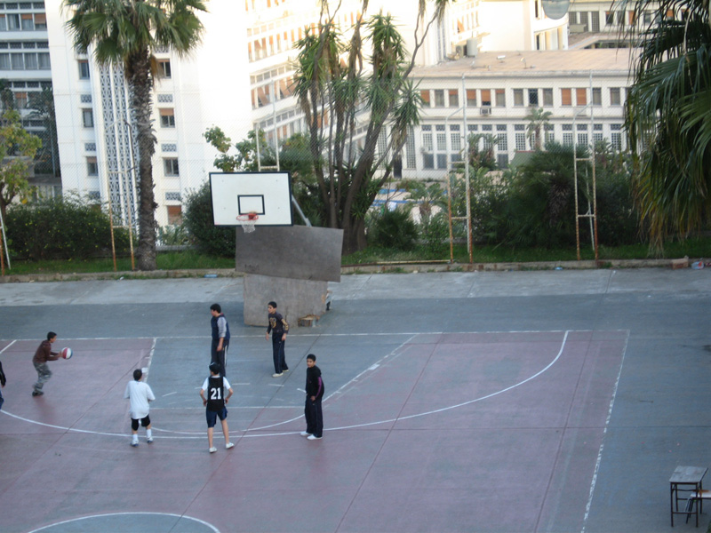 alger-s8.jpg