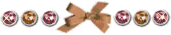 13612226321.gif