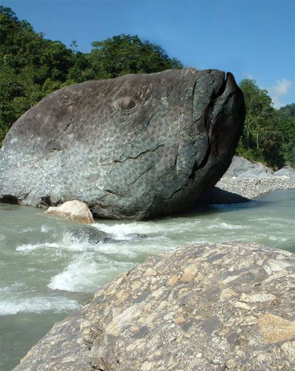 91.imgcache.jpg