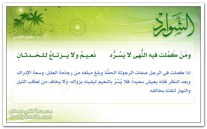 Shawared-009.jpg