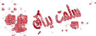 12046.imgcache
