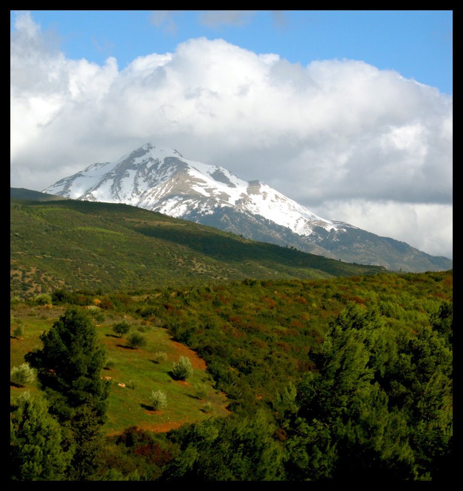 chrea-blida-medea.jpg