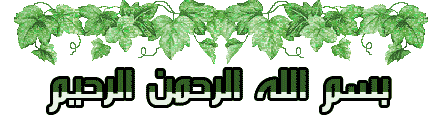 13618228117.gif