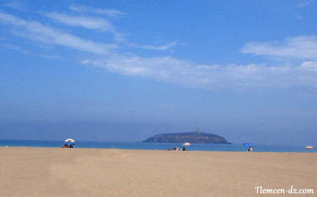 plage-rachgoun-wilaya-tlemcen.jpg