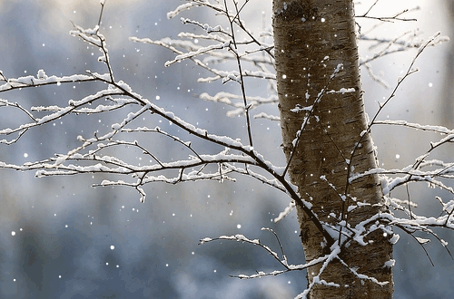 tumblr_mfb7j2pU8d1r71b95o1_500.gif