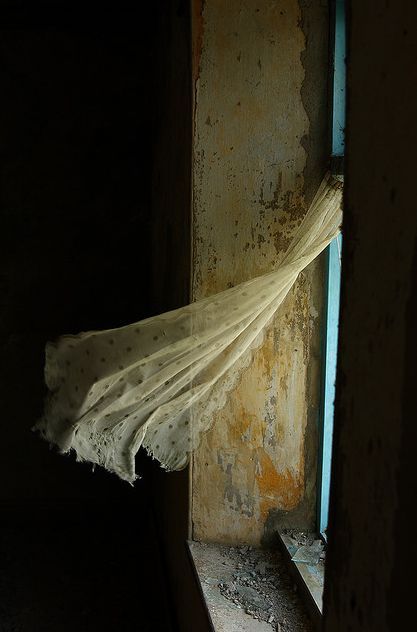 image129056.html