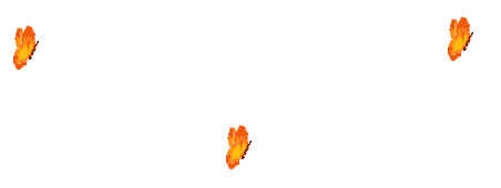 111116154008FioB.gif