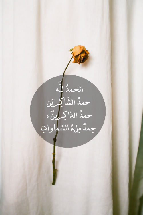 tumblr_msxibcdCeQ1s367ulo1_500.jpg