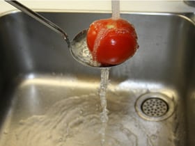 PELARE-POMODORI-4.jpg