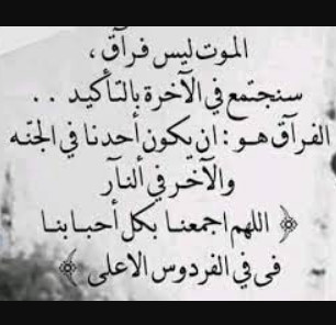 image131560.html