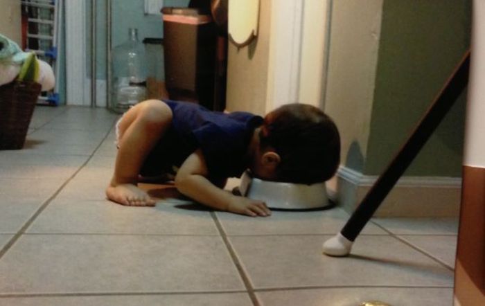 acid_picdump_10.jpg
