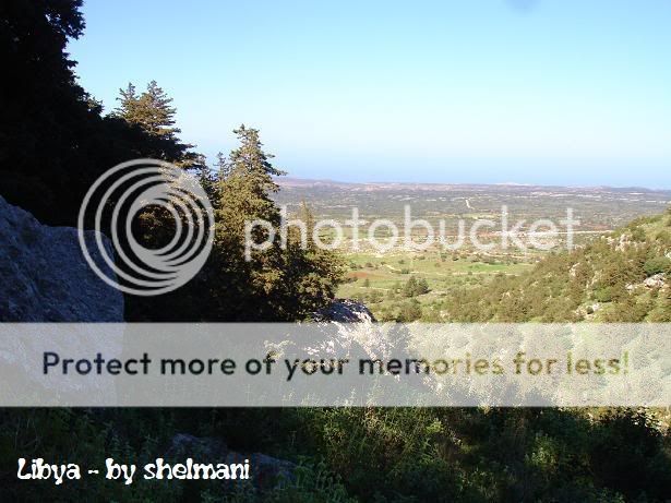 Libyanforest37.jpg