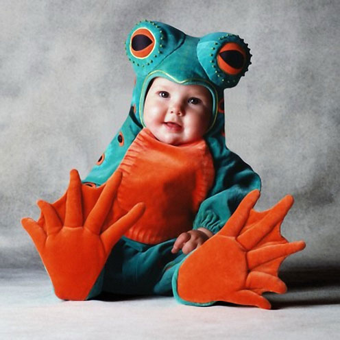 frog.jpg