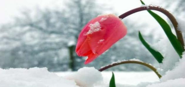 image128649.html