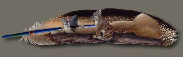 art_feather12.jpg
