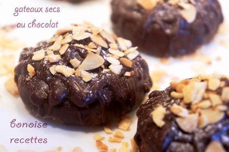 gateaux-secs-au-chocolat3.jpg