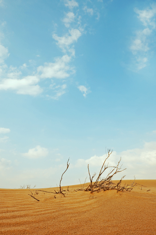 A_hope_by_vi_ol_et.jpg