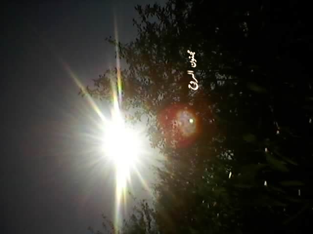 spm_a025.jpg