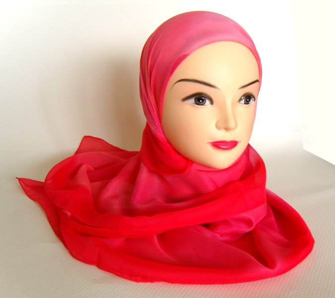 hab-foulard-rose-motifs-080228.jpg