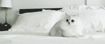 friday_gif_selection_04.gif