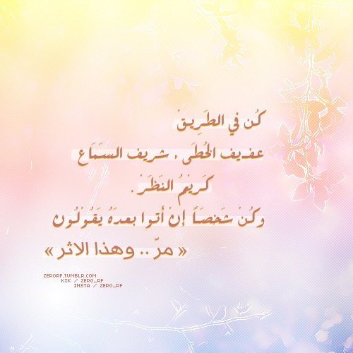 tumblr_myfb44Jfin1rdzwcho1_500.jpg