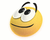 image129011.html
