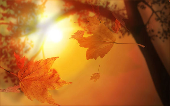 autumn-sunshine.jpg