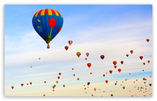 hot_air_balloon_field-t2.jpg