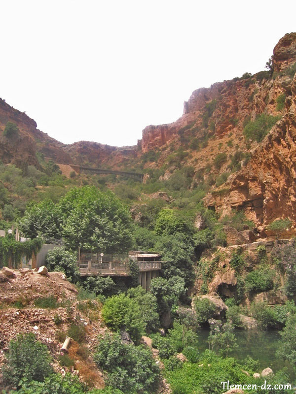 el-ourit-tlemcen.jpg