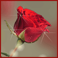1011-008-84-1068.gif
