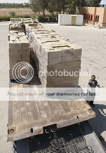 sy1c48b3.jpg