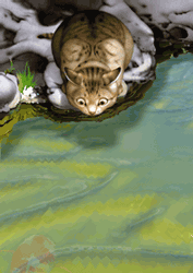 1176875hge1vscdsx.gif