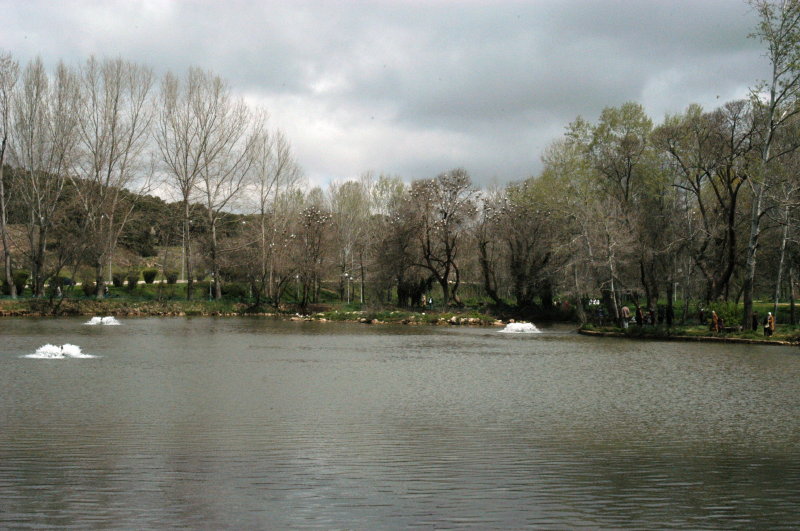 ifran012.JPG