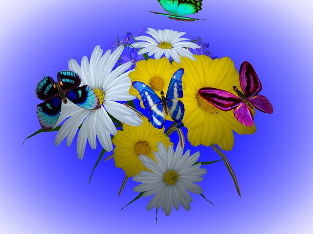 3D-Wonderful-Flowers_1.png