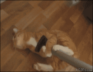 tumblr_m4wtq4u1EO1qhwmnpo1_400.gif