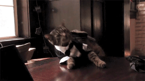 friday_gif_selection_25.gif