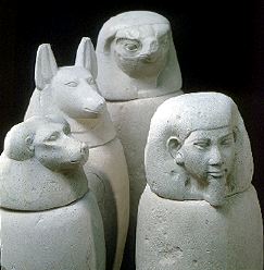canopi10.jpg