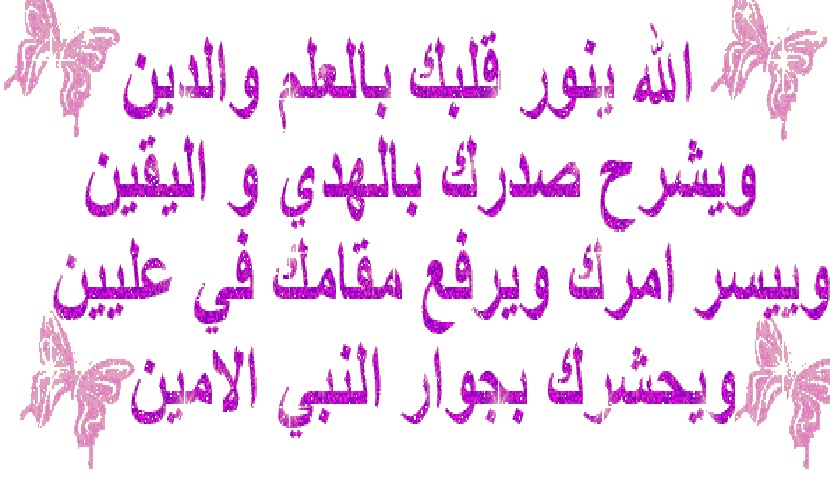 21508alsh3er.jpg
