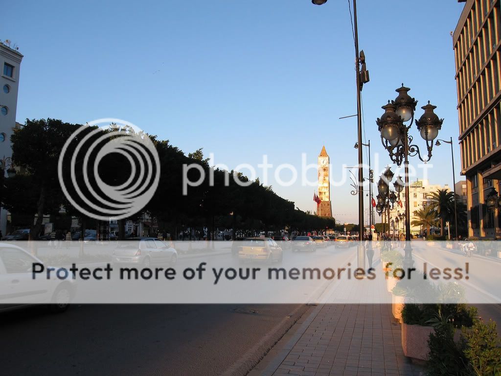 tunis13.jpg