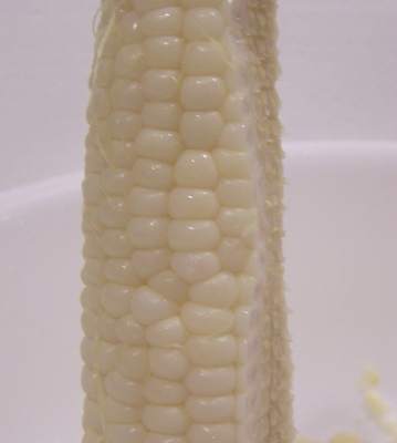 corn,%20kernels%20cut%20on%20the%20cob.jpg