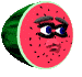 melon_pt-1.gif