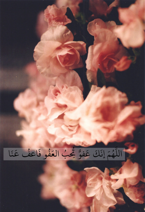 tumblr_mjg8rvFrIP1ratru9o1_500.jpg