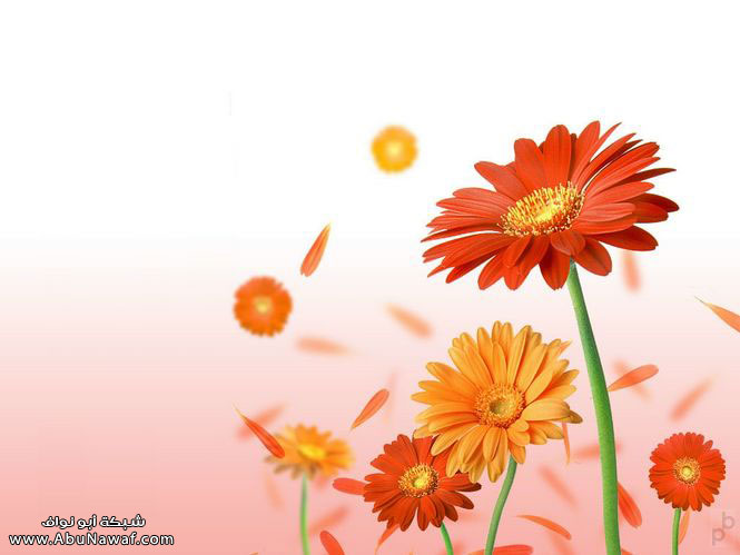 flower1.jpg