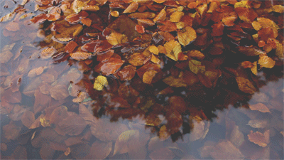 tumblr_mv2k007gq91qhu7x0o1_400.gif